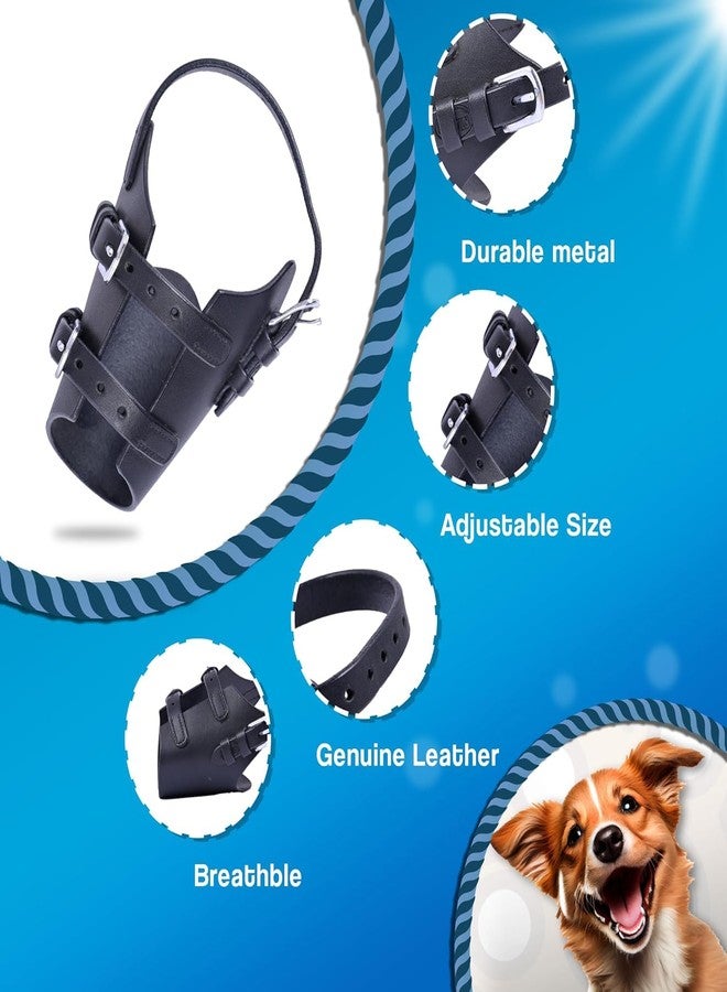 ADIL'S Adil’S Dog Muzzle, Basket Muzzle for Small Medium Large Aggressive Reactive Dogs, for Biting, Chewing and Scavenging, Perfect for Grooming and Training, Size: XS to XL, Black (XS) - Image 2
